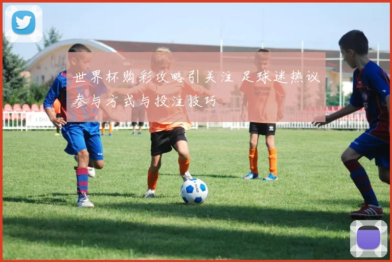 世界杯购彩攻略引关注 足球迷热议参与方式与投注技巧