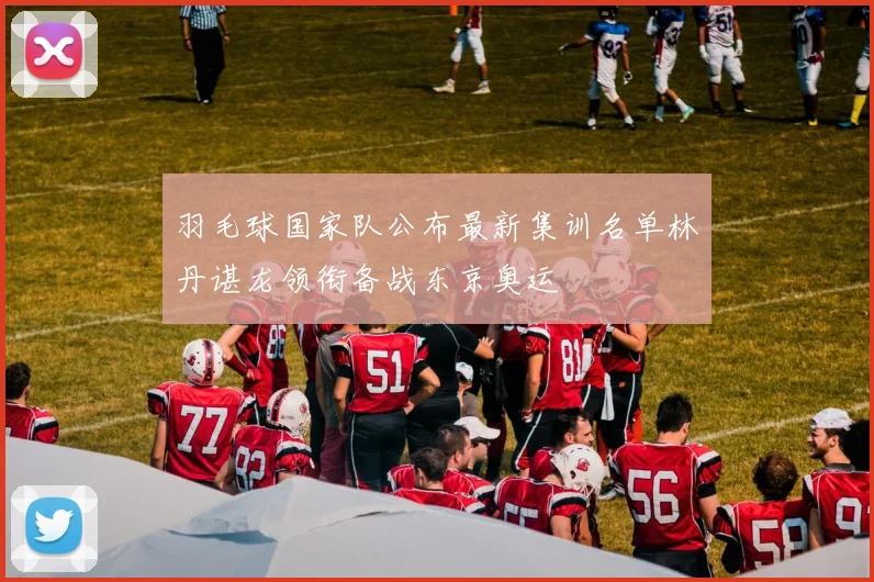 羽毛球国家队公布最新集训名单林丹谌龙领衔备战东京奥运