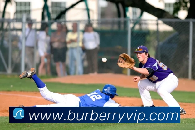 App Interface Preview