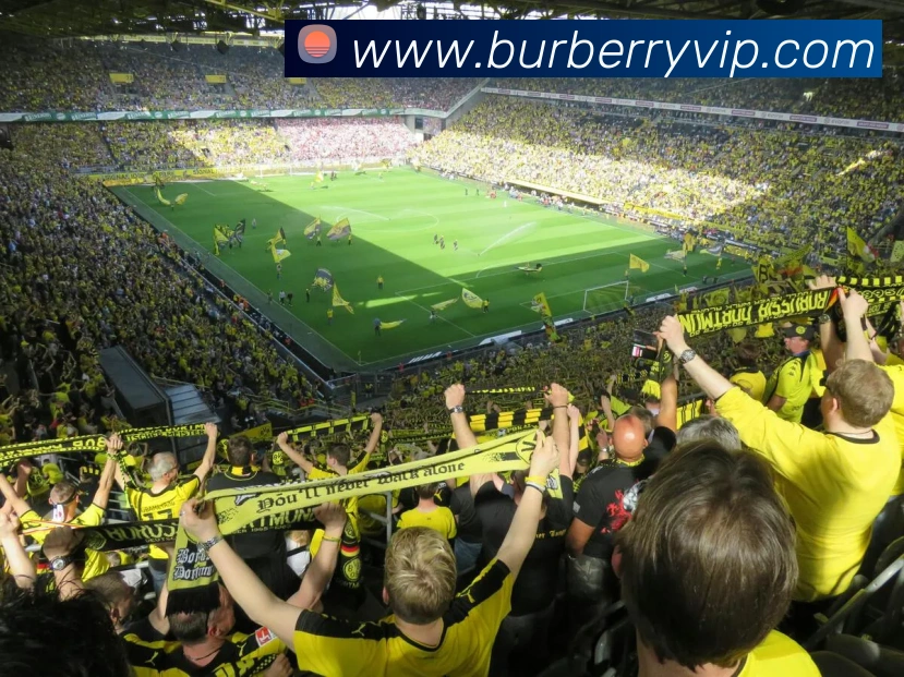 数据防护可视化